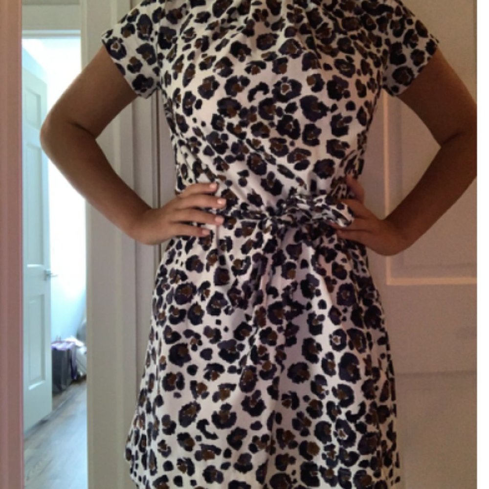 Leopard print dress.
